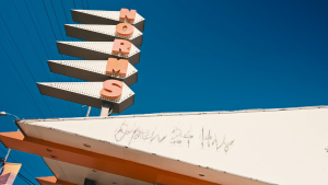 WEXLEY STEM 20L Daypack Cordura Series | Travel Backpack | Laptop Backpack