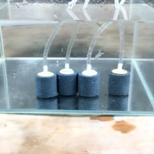 Aquarium Bubble Stone Set For Oxygen Pump Submersible Fish Tank Silent Airstone Producing Bubble