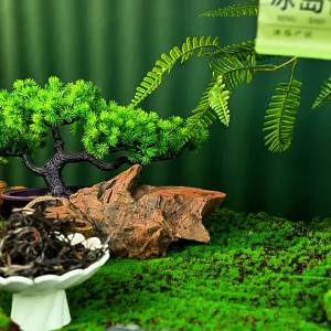 XINYIHAO | Yunnan Ancient Tree New Raw Pu-erh Tea