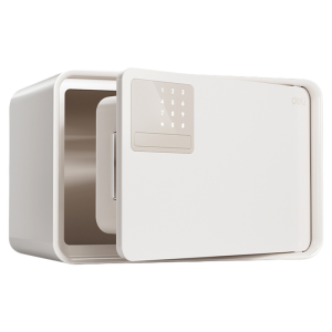 deli | Electronic Password Safe 20/25cm