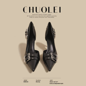 CHUOLEI | Spring New Style French Pointed Toe Strap High Heels