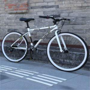 Speed Shifting Fixie Bike