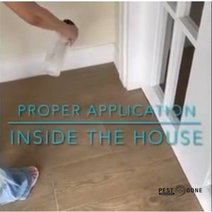 Pest Gone Multi-Pests Insect Killer Spray: Safe Household Insecticide