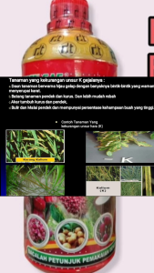 Been Sae Kcl Cair Pupuk Kalium Super 500 ml