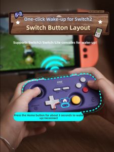 Iine | Switch2 Mini Retro Card Design Game Controller 