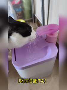 SmartTail Cordless Silent Water Fountain 2.2L Automatic Pet Water Fountain with Filter 4400mAh Long Battery Life