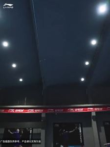 Li-Ning | Shock Absorbing Slip-resistant Badminton Shoes