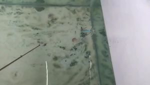 Bộ Mồi Câu Cá Sâu Nước Crankbait 5-18 Chiếc Mồi Giả Cứng Lắc Lư Dành Cho Cá Bass Cá Pike Câu Cá Nước Ngọt