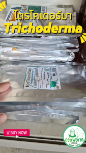 ไตรโคเดอร์มา Trichoderma asperellum รักษาโรคพืช ชนิดผงเชื้อ ผสมสารจับใบ 100g