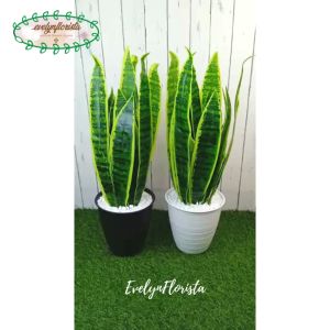 Pohon Hias Daun Lidah Mertua X16 Plastik Artificial Pot Tawon Pirus HItam Putih Tanaman Hiasan Rumah Sudut Ruang Aesthetic