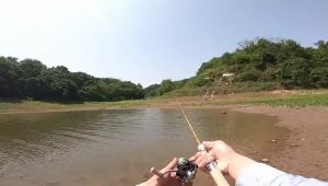 EELHOE | Bộ 5 Dụng Cụ Câu Cá Bằng Cao Su Hình Trụ Nhỏ Gọn Có Thể Điều Chỉnh Trọng Lượng Kèm Hệ Thống Báo Hiệu Theo Tỷ Lệ