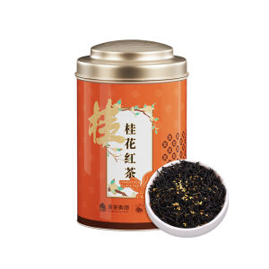 SHIFENG | Hangzhou Special Red Tea Nine Twists Red Plum 50g