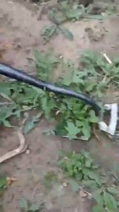 EOSM เครื่องมือกำจัดวัชพืช คราดกำจัดวัชพืชแบบพกพา กำจัดวัชพืช คลายดิน คาดหญ้าเหล็ก คราดถากหญ้า ฟันถากหญ้า