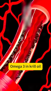 Antarctic Krill Oil 60 Capsules Astaxanthin Krill Oil/Nutrients Improves Physical Performance Natural Shrimp Oil