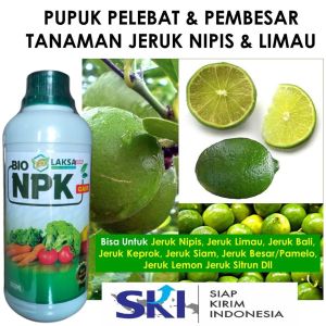 (PUPUK JERUK NIPIS TERBAIK) Obat Pelebat Jeruk Nipis dan Limau Paling Bagus dan Manjur Pupuk Organik Tanaman Jeruk yang Paling Bagus Mampu Menyuburkan Buah Daun dan Bunga Jeruk Hingga Panen Lebih Banyak Bisa Untuk Jeruk Nipis Jeruk Kepok Jeruk Limun