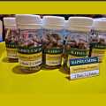 Kapsul cacing obat untuk tipes isi 30 pcs. 