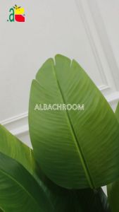 1 PAKET TANAMAN HIAS POHON PISANG PLASTIK 110 CM DAN 140 CM RB6078 TANAMAN ARTIFICIAL DEKORASI RUMAH