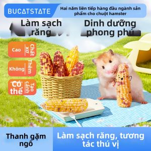 BUCATSTATE | Thức Ăn Giữa Các Bữa Cho Chuột Hamster