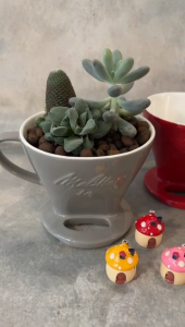 YTXPX Cup Shape Bonsai Plant Flower Cactus Succulent Ceramic Pot Tabletop White Grey Red