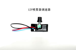 12V Rain Dew Water Pump Agricultural Electric Sprayer Water Pump Motor Spray Insecticide Machine Diaphragm Pump Smart Self-Priming Pump