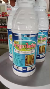 คาซูกาไมซิน ขนาด 1 ลิตร สารกำจัดเขื้อราในพืช คาซูก้าไมซิน คาซูมินแอลคาซูก้ามัยซิน โรคใบหม้ โรคใบเน่า