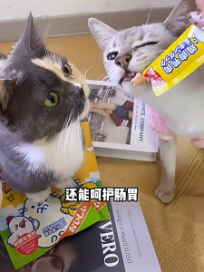 Cat Strips Neeka Cat Main Food Snack Nutrition and Multi-flavored Cat Food Cat Treats Stick
