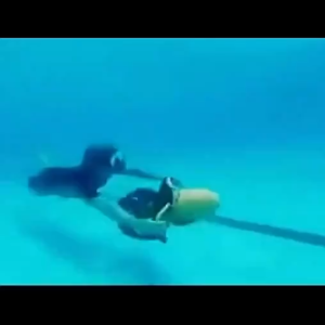 300W/500W Electric Water Scooter Water Sports Submersible Underwater Thruster Handheld Sea Scooter Free Submersible Diving Swimming Underwater Aircraft