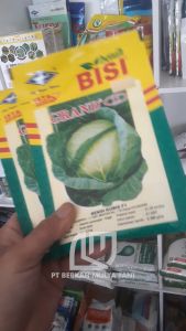 Benih Kubis Grand 11 Bibit Hibrida F1 Kemasan 15 Gram Original