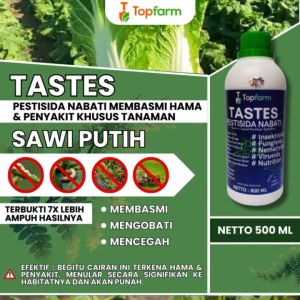 Obat & Pestisida Sawi Putih: Solusi Tepat untuk Hama & Penyakit