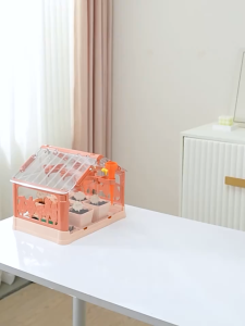Đồ chơi DIY nhà kính trồng cây mini cho bé thí nghiệm quan sát quá trình sinh trưởng của thực vật