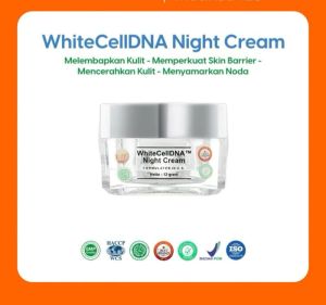 Cream Malam /Night Cream Ms Glow ECER/Ultimate-Luminous-Whitening-Acne-DNA