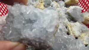 1PC Tự Nhiên Màu Xanh Celestite Thạch Anh Pha Lê Cụm Đá Chữa Bệnh Mẫu Vật Druzy Geode Để Trang Trí Nhà Cửa Và Thủ Công