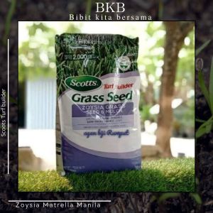 COD benih rumput Manila 15gram - Biji Rumput Zoysia Matrella lapangan 15gram