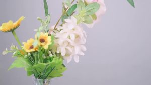 Insta360 X3 Expansion Frame & Metal Rabbit Cage Accessories