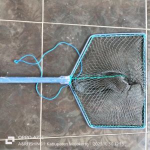 SEROK BROJOL LELE D9