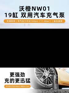 NEWO | Dual Use Wireless and Wired Portable Electric Inflator Tire Pressure Monitor Pump