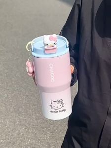Attractive and Versatile Stainless Steel Insulated Sippy Cup