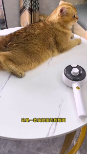 【Meoof】 Pet Atomizing Massage Comb Dog Cat Grooming Comb UVC Sterilize Remove Mites Anti Flying Hair Removal Brush 宠物喷雾按摩梳猫狗除毛梳紫外杀菌除螨防飞梳毛梳