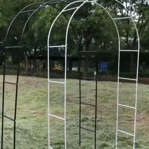 Arch Flower Stand Party Bridal Prom Climbing Grape Path Rose Rack Outdoor Indoor Plant Stand Wedding Garden Deco