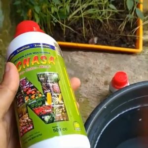 Pupuk Penyubur Buah Delima Pupuk Buah Delima Delima Anti Rontok Pelebat Buah Delima Booster Cair ZPT