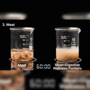 Digestive Enzyme Probiotic 60s - Gut Wellness Digestion Detox Diet (60s) [6 All Natural Digestive Enzyme with Probiotic]