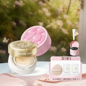 LADORE COLORS | Travel-size Oil-control Waterproof Long-lasting Lightweight Coverage Cushion Foundation