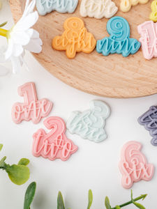 Mini Acrylic Sugar Cookie Stencil Baking Tool DIY Decorative English Flower Press Mold for Beginners Cake Decoration