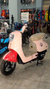 Sepeda Listrik Pacific Cameron NEW 650watt 48V 20.2AH