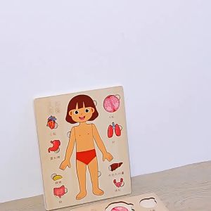 Oldlaiben Human Body Anatomy Model Puzzle Wooden Montessori Toys for Kids Early Educational Organs Model