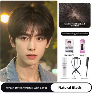 WEIWEI | Natural Full Human Hair Short Mens Wig