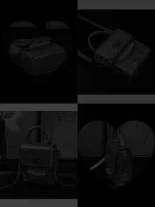 Versatile and fashionable butterfly diagonal cross bag chain womens bag