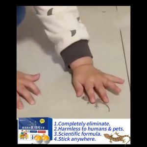 🦎100% effective in killing lizards and geckos🦎 lizard killer ubat cicak paling berkesan racun cicak mati 3 saat paling kuat cicak killer lizards trap lizard gecko repellent 壁虎药