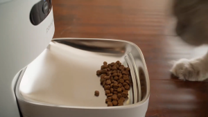 Levoit Pawsync Smart pet feeder 3.6L เครื่องให้อาหารสัตว์เลี้ยงอัตโนมัติ เชื่อมต่อผ่าน APP สามารถเรียกสัตว์เลี้ยงได้
