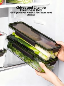 Food Grade Vegetable Storage Box